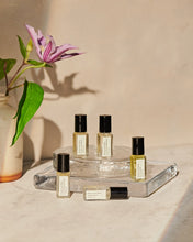 Load image into Gallery viewer, Perfume Oil  Discovery Set