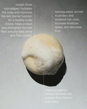 Load image into Gallery viewer, Clarifying Shampoo Bar